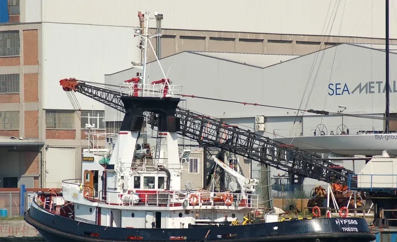 HYPSAS Tug Boat IMO 7824558 photo 8