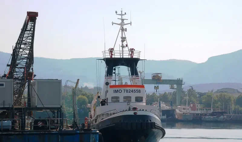 HYPSAS Tug Boat IMO 7824558 photo 10