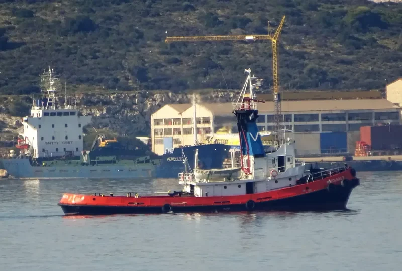 NIKOLAOS V Tug Boat IMO 7824560 photo 2