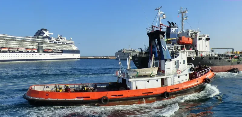 NIKOLAOS V Tug Boat IMO 7824560 photo 4
