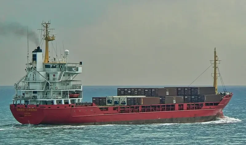 TONE General Cargo IMO 7824601 photo 2
