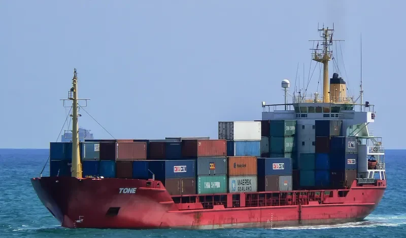 TONE General Cargo IMO 7824601 photo 3