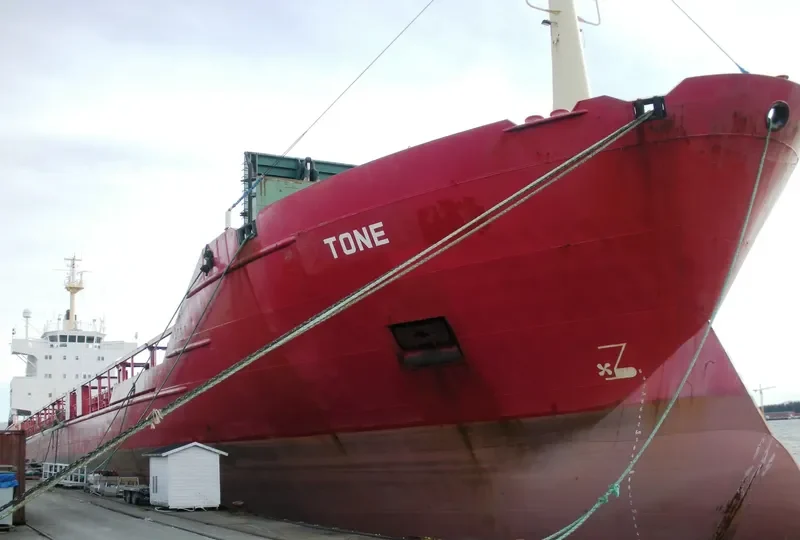 TONE General Cargo IMO 7824601 photo 7
