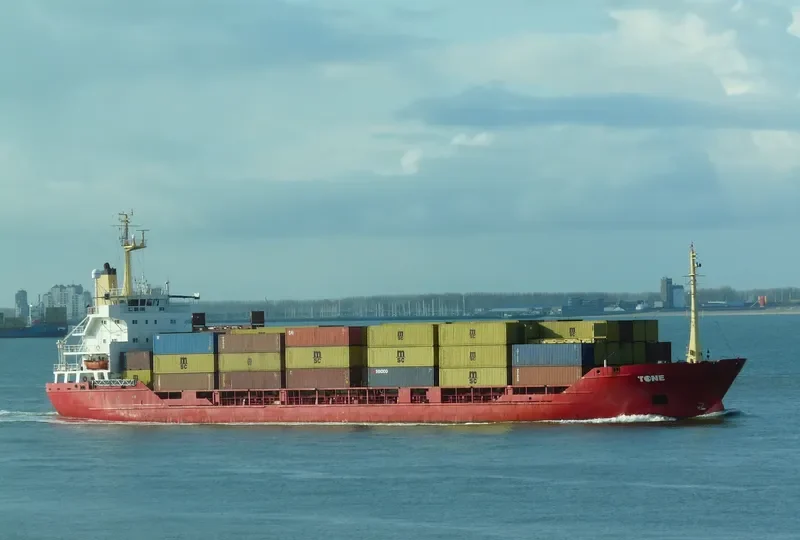 TONE General Cargo IMO 7824601 photo 8