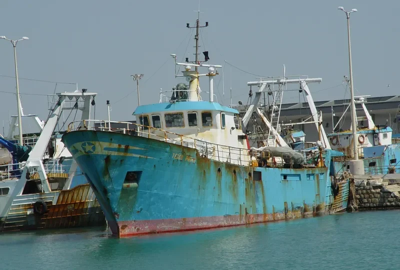 FRANCESCO GIACALONE General Cargo IMO 7824704