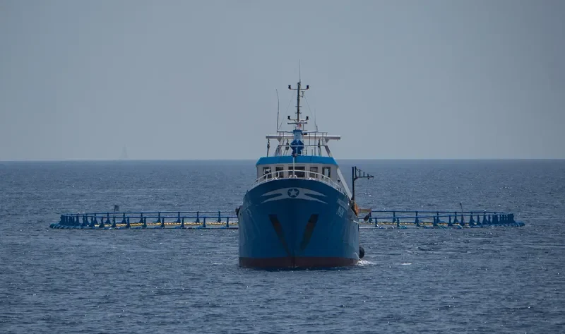 FRANCESCO GIACALONE General Cargo IMO 7824704 photo 2