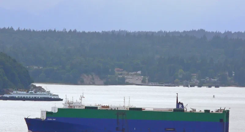 PEARL RAY Ro-Ro IMO 7825435 photo 7