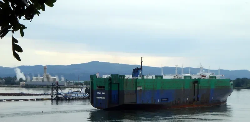 PEARL RAY Ro-Ro IMO 7825435 photo 9