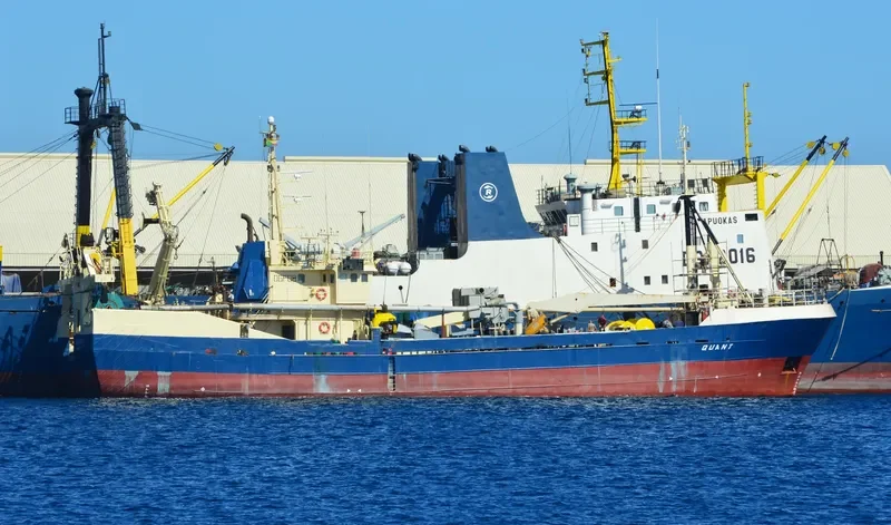 QUANT General Cargo IMO 7825605 photo 2