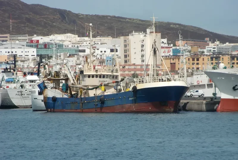 QUANT General Cargo IMO 7825605 photo 3