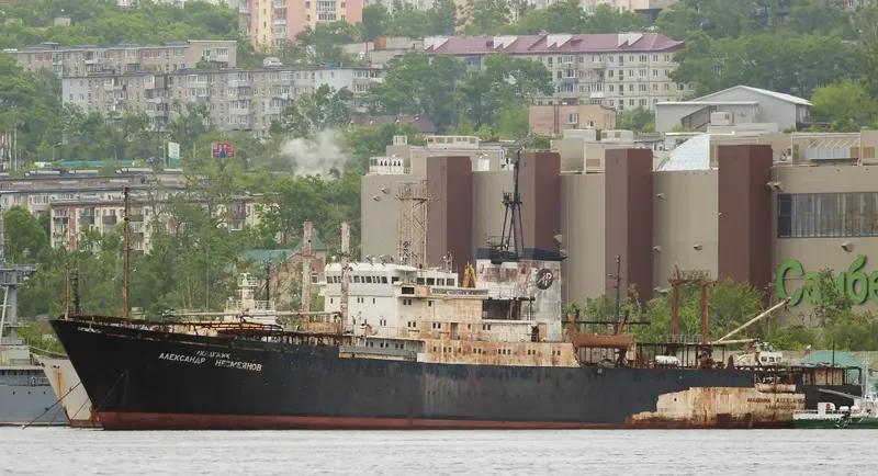 AKADEMIK ALEKSANDR NESMEYANOV General Cargo IMO 7826300 photo 2