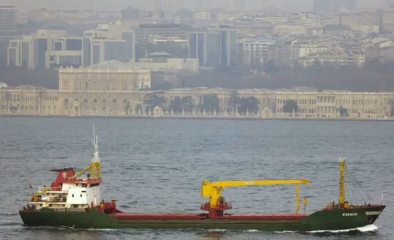 ESENCE General Cargo IMO 7827342 photo 6