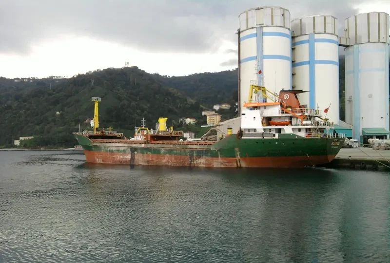 ESENCE General Cargo IMO 7827342 photo 8