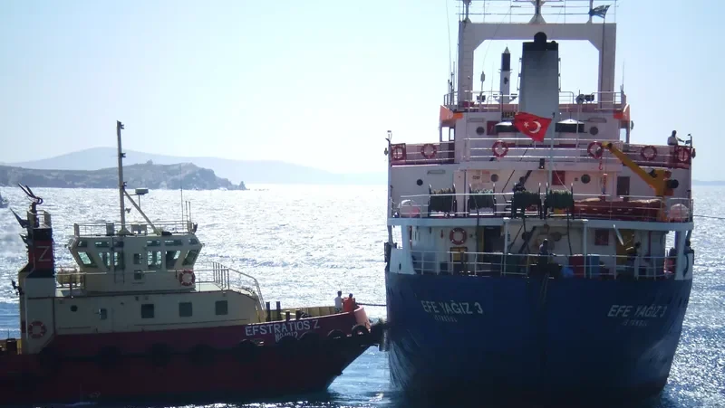 EFE YAGIZ 3 General Cargo IMO 7827366