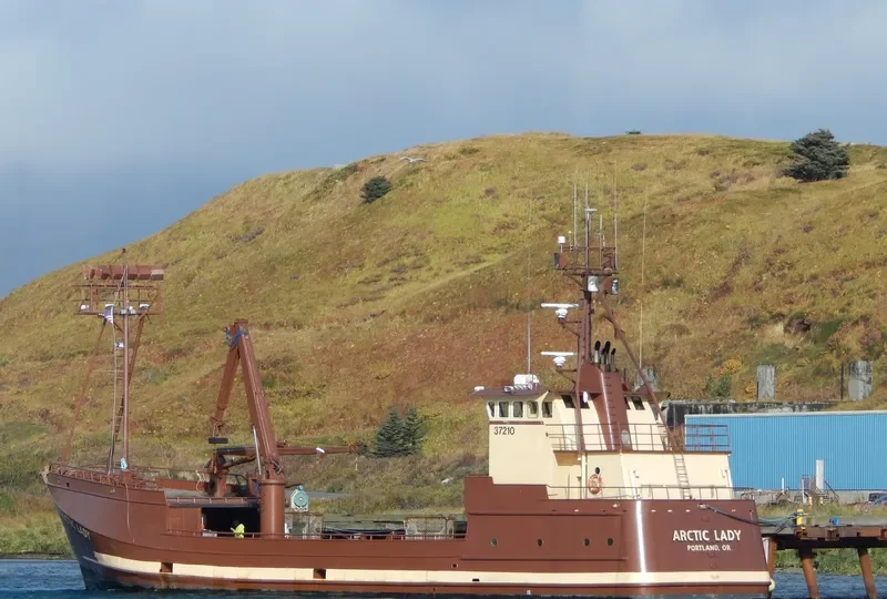 ARCTIC LADY General Cargo IMO 7827421