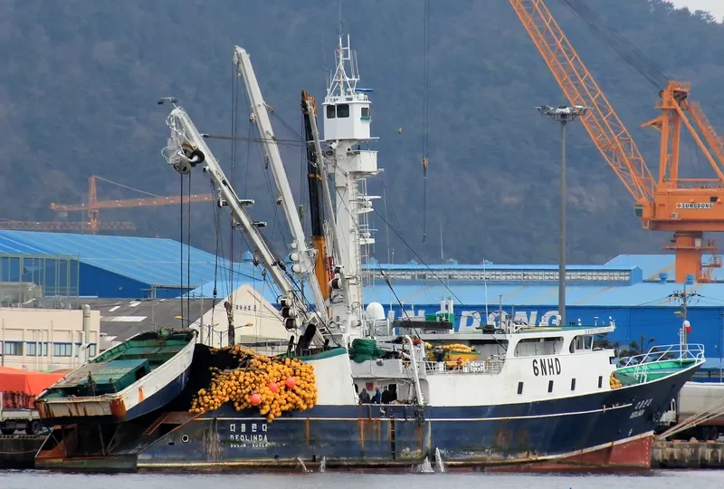 DEOLINDA General Cargo IMO 7827469 photo 2
