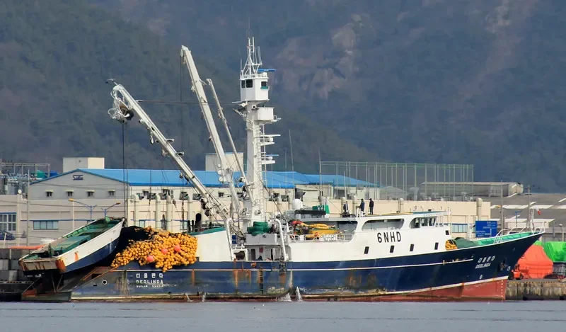 DEOLINDA General Cargo IMO 7827469 photo 3