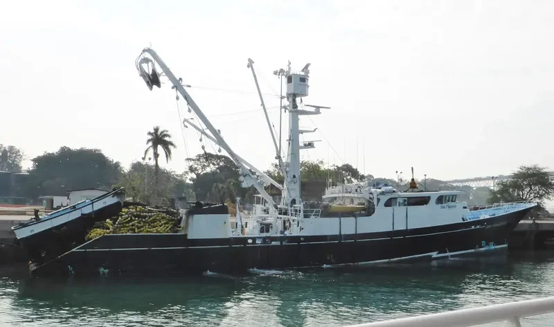 DON FRANCESCO Fishing Vessel IMO 7827471