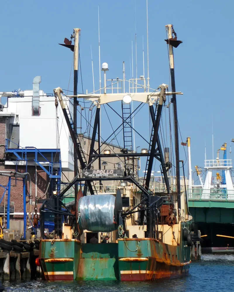 APOLLO Fishing Vessel IMO 7827548