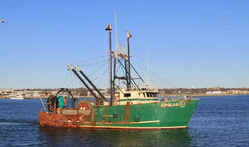 APOLLO Fishing Vessel IMO 7827548 photo 3