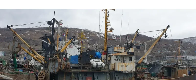 CHARYMOVO Fishing Vessel IMO 7828566
