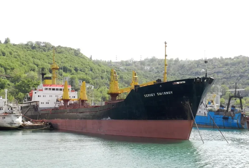 SERGEY SMIRNOV General Cargo Vessel IMO 7828724