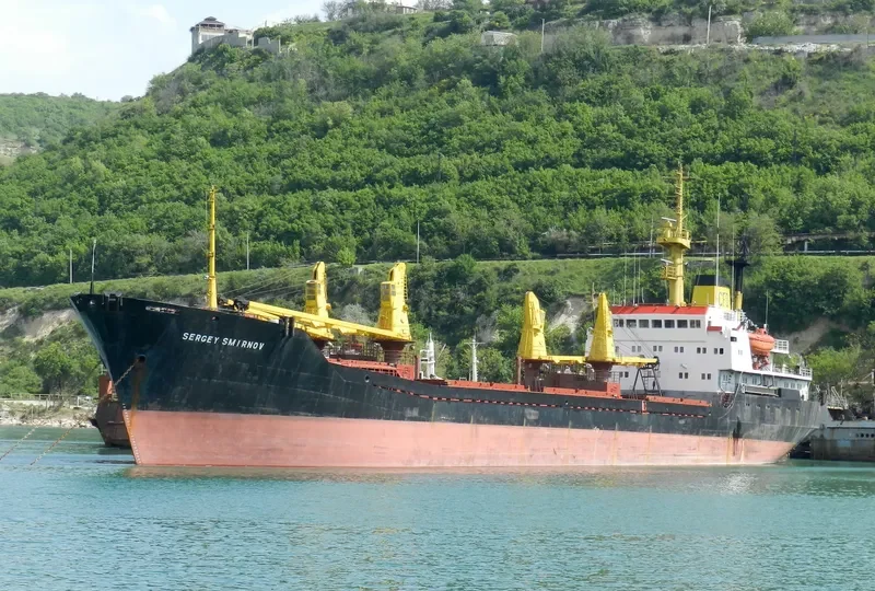 SERGEY SMIRNOV General Cargo Vessel IMO 7828724 photo 2
