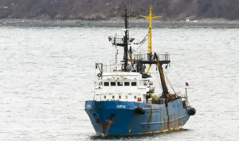 SARGAL General Cargo IMO 7828748 photo 2