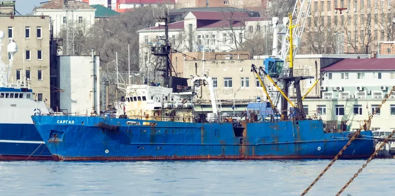 SARGAL General Cargo IMO 7828748 photo 3