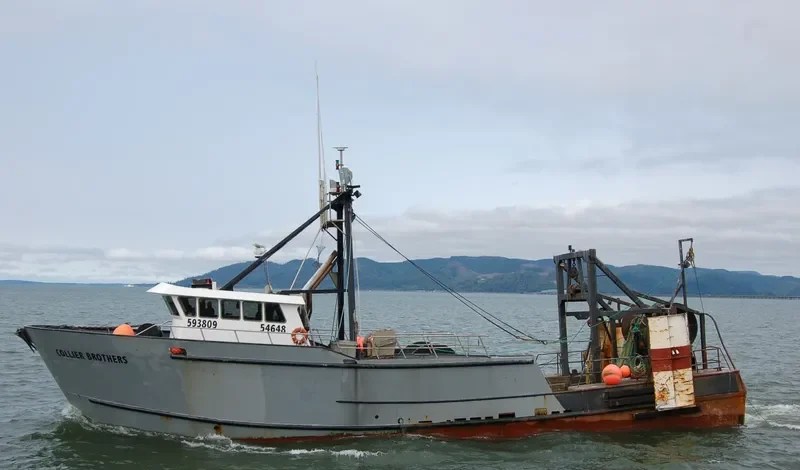 COLLIER BROTHERS General Cargo IMO 7829041