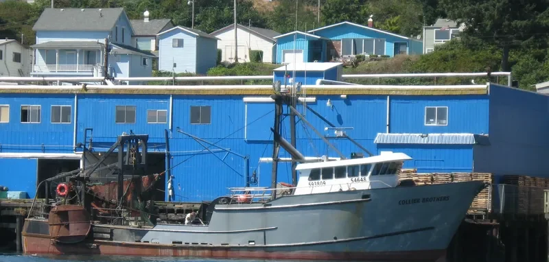 COLLIER BROTHERS General Cargo IMO 7829041 photo 3