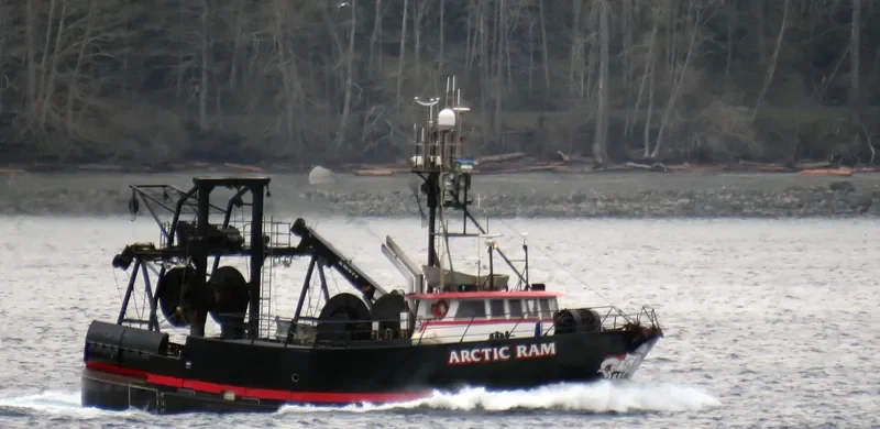 ARCTIC RAM Fishing Vessel IMO 7829120