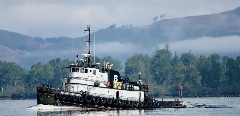 NORMAN O Tug Boat IMO 7829778 photo 4