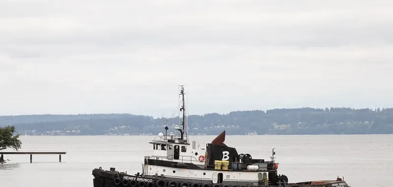 NORMAN O Tug Boat IMO 7829778 photo 7