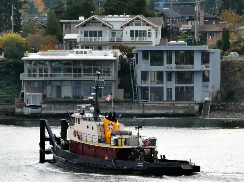 CAPT.CAE Tug Boat IMO 7829780