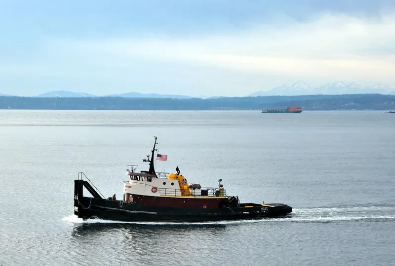 CAPT.CAE Tug Boat IMO 7829780 photo 2