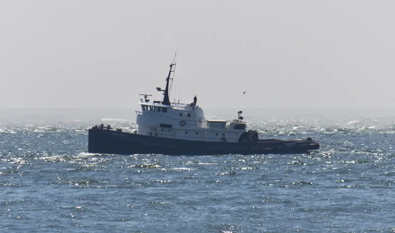 CAPT.CAE Tug Boat IMO 7829780 photo 9