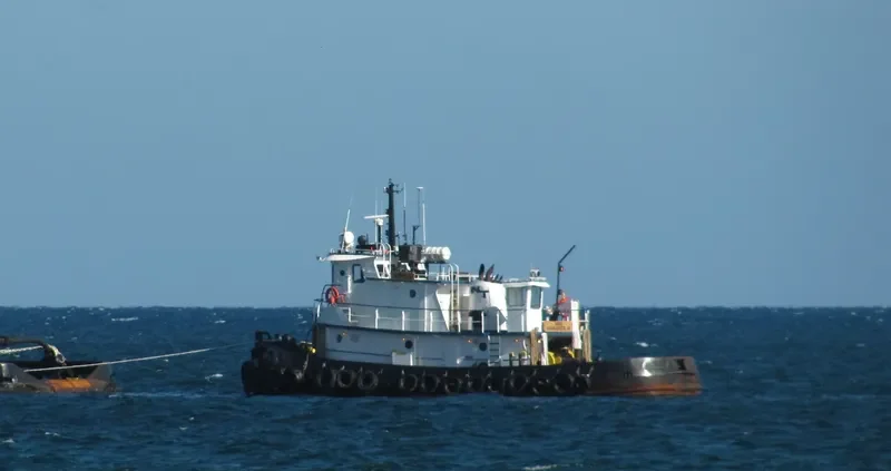 SEGA Tug Boat IMO 7830492 photo 4