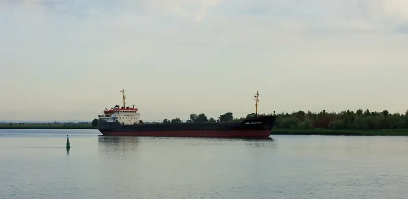 PAVEL GRABOVSKIY General Cargo IMO 7830911 photo 9