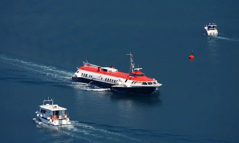 FLYING DOLPHIN XXIII General Cargo IMO 7831769 photo 5