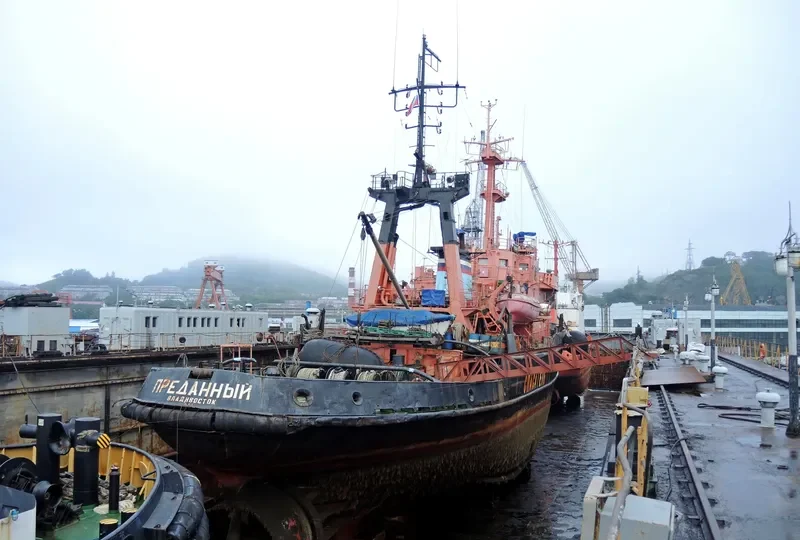 PREDANNYY General Cargo IMO 7831898 photo 6