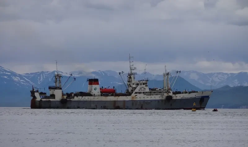 MOSKOVSKAYA OLIMPIADA General Cargo IMO 7832359 photo 2