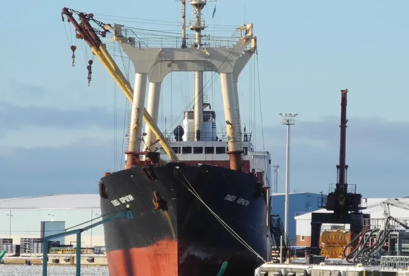 PAVEL KORCHAGIN General Cargo IMO 7832775
