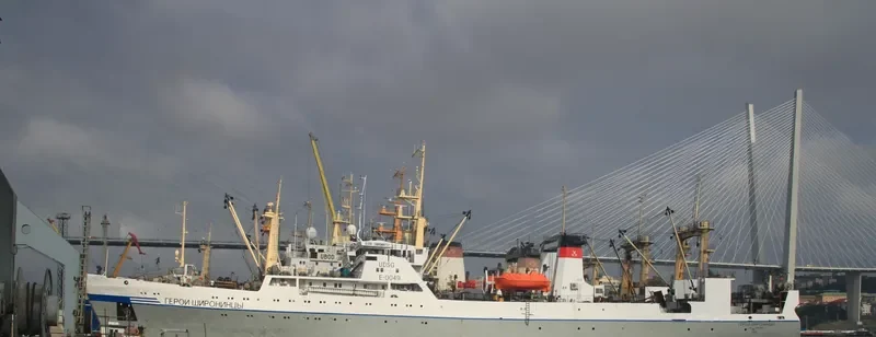 GEROI SHIRONINTSY General Cargo IMO 7832945 photo 6
