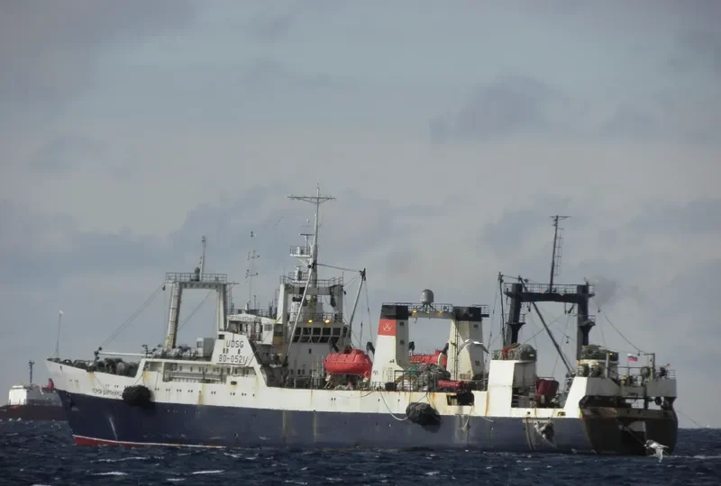GEROI SHIRONINTSY General Cargo IMO 7832945 photo 8
