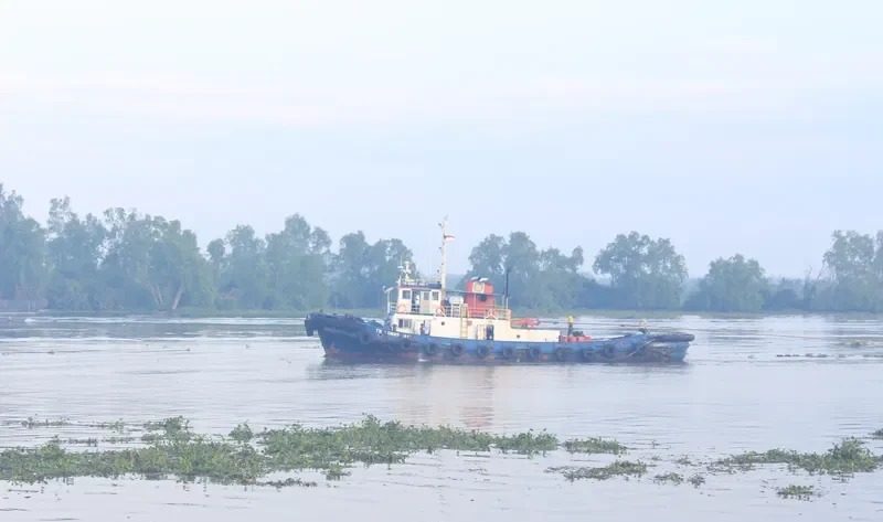 BOMAS JAYA Tug Boat IMO 7856276