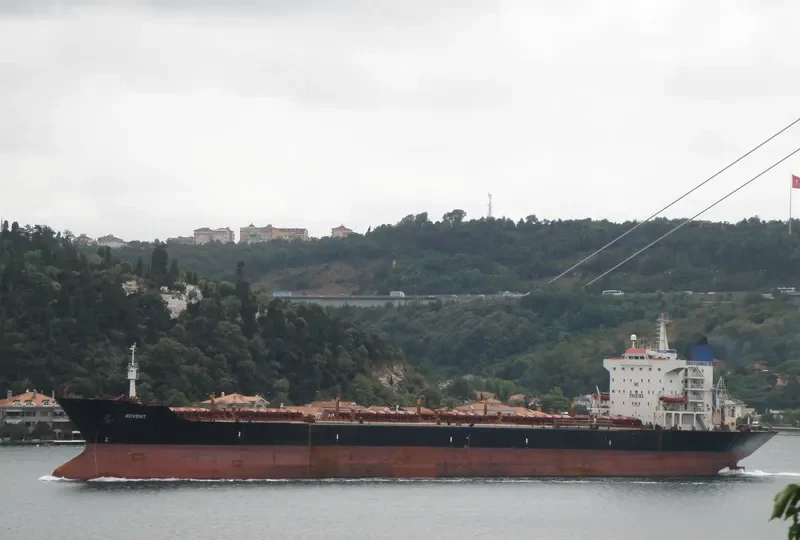 ADVENT Bulk Carrier IMO 7900261 photo 7