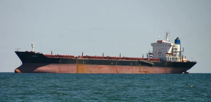 ADVENT Bulk Carrier IMO 7900261 photo 8