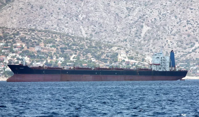 ADVENT Bulk Carrier IMO 7900261 photo 9