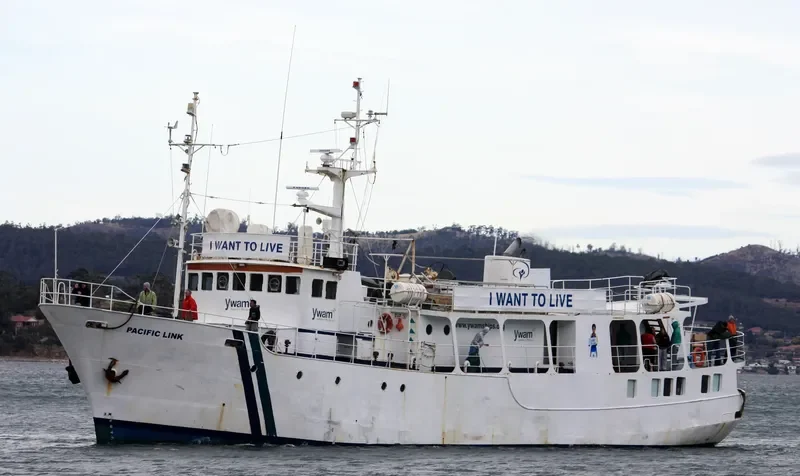 PACIFIC LINK General Cargo IMO 7900340 photo 8